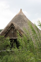 Replica Iron Age house