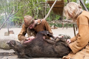 Image_Mesoboar_hanss