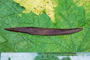 Kanaljorden_Motala_Sweden_Leister